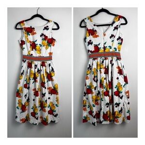Eva Mendes New York & Co Julianne Retro Fruit Print Fit & Flare Pockets Dress 0